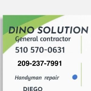 Dino solutions